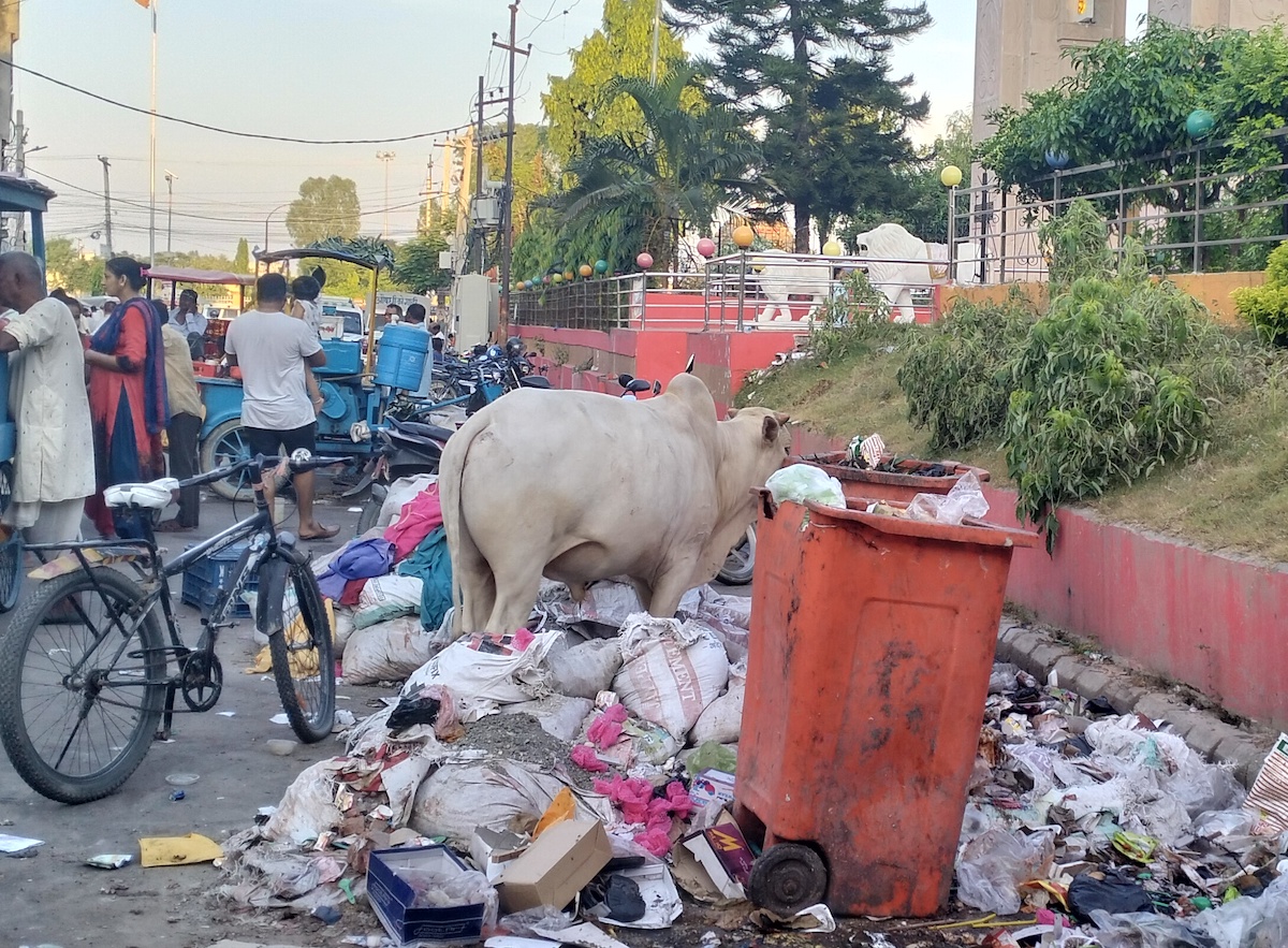 फोटो : जनकपुरस्थित राजदेवी मन्दिरको गेट अगाडि थुप्रिएको फोहोर। तस्बिर : रोहित महतो